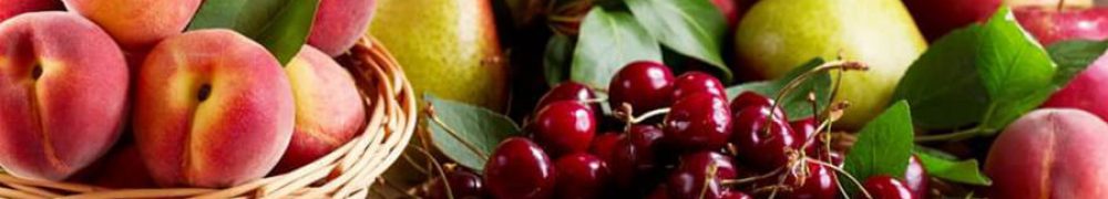 Плодові дерева